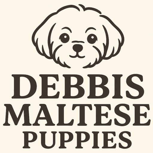 Debbis Maltese Puppies Logo
